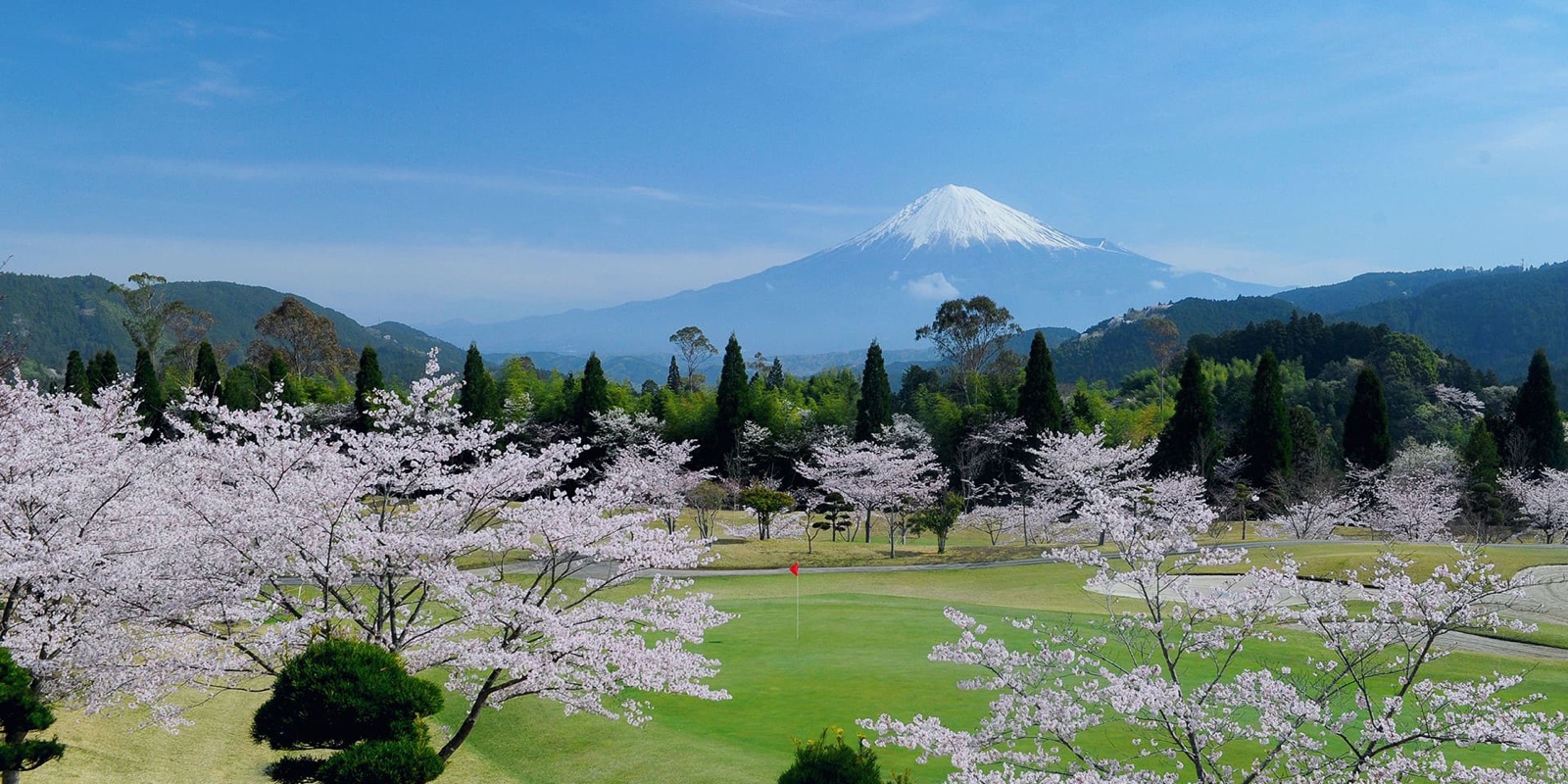 Cherry blossoms and Mt. Fuji at Fugaku Country Club